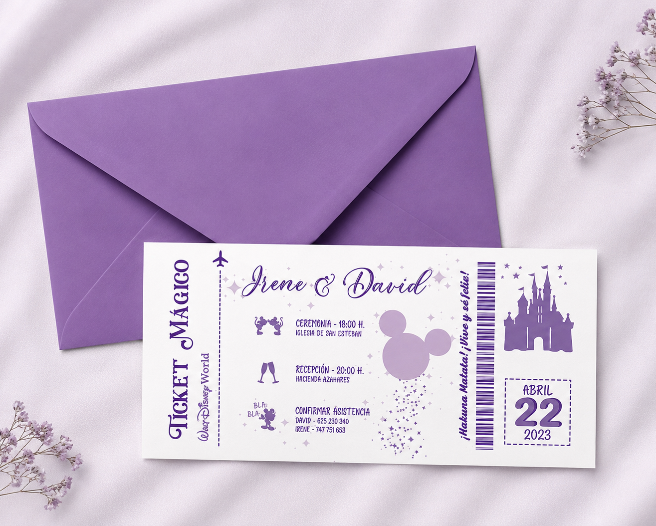 ENTRADA DISNEY